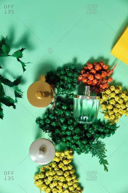 Top view of shiny glass bottles of handmade luxury perfume arranged on table with sprigs of thuja