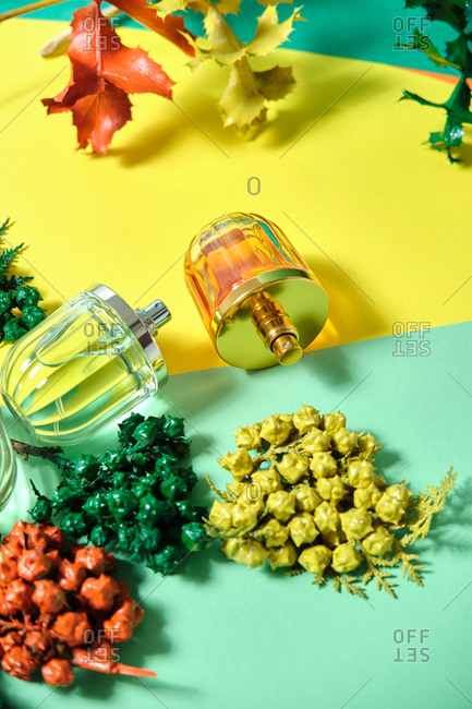 Top view of shiny glass bottles of handmade luxury perfume arranged on table with sprigs of thuja