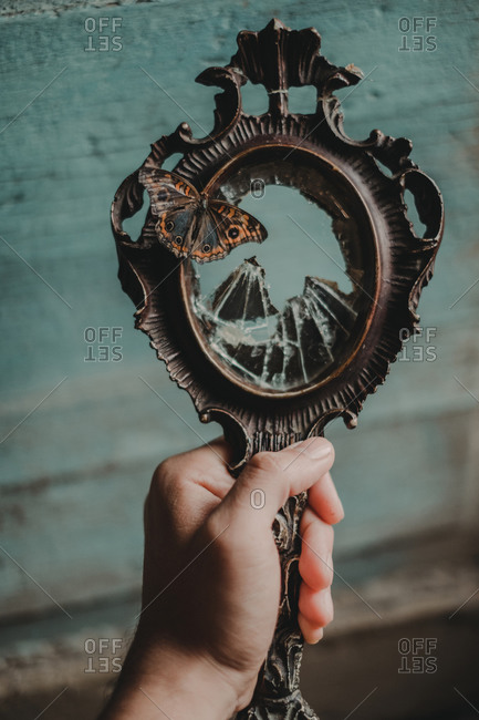 Crop anonymous person with butterfly on hand holding vintage mirror reflecting rocky mountains