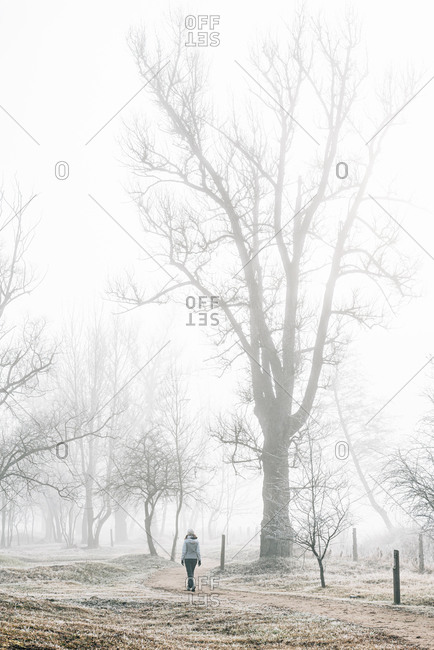 Back view of anonymous female hiker in warm clothes walking on empty road among leafless trees in cold misty day in countryside in Bellver de Cerdaña , Catalunya