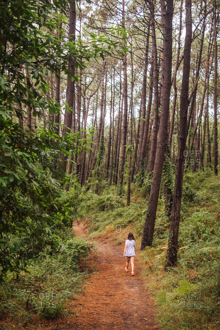 Back view of unrecognizable distant female strolling on narrow trail amidst tall pine trees in green forest in summer day