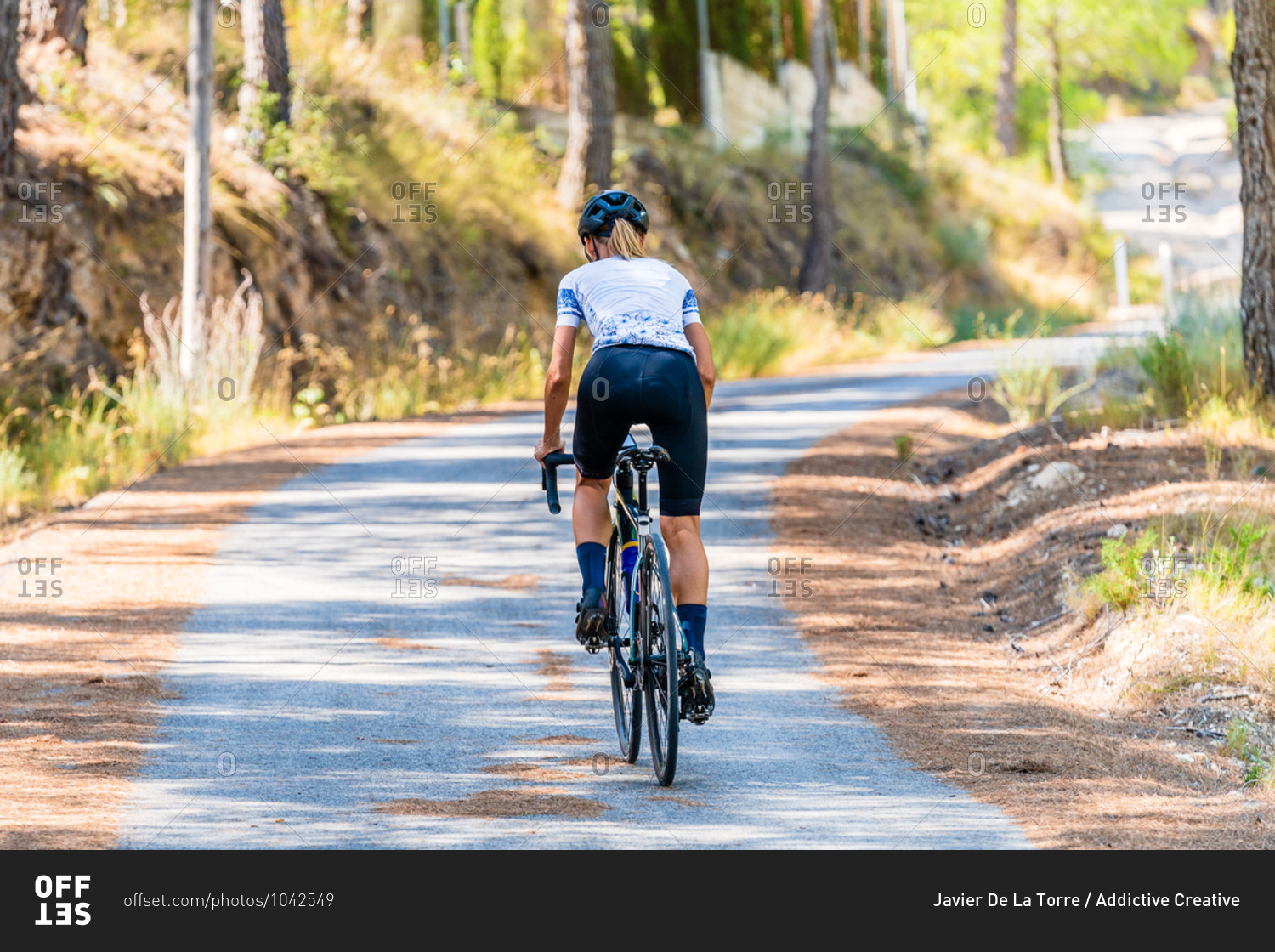 Full body back view of fit female cyclist in sportswear and helmet riding bike on narrow curved road leading through green forest in summer day