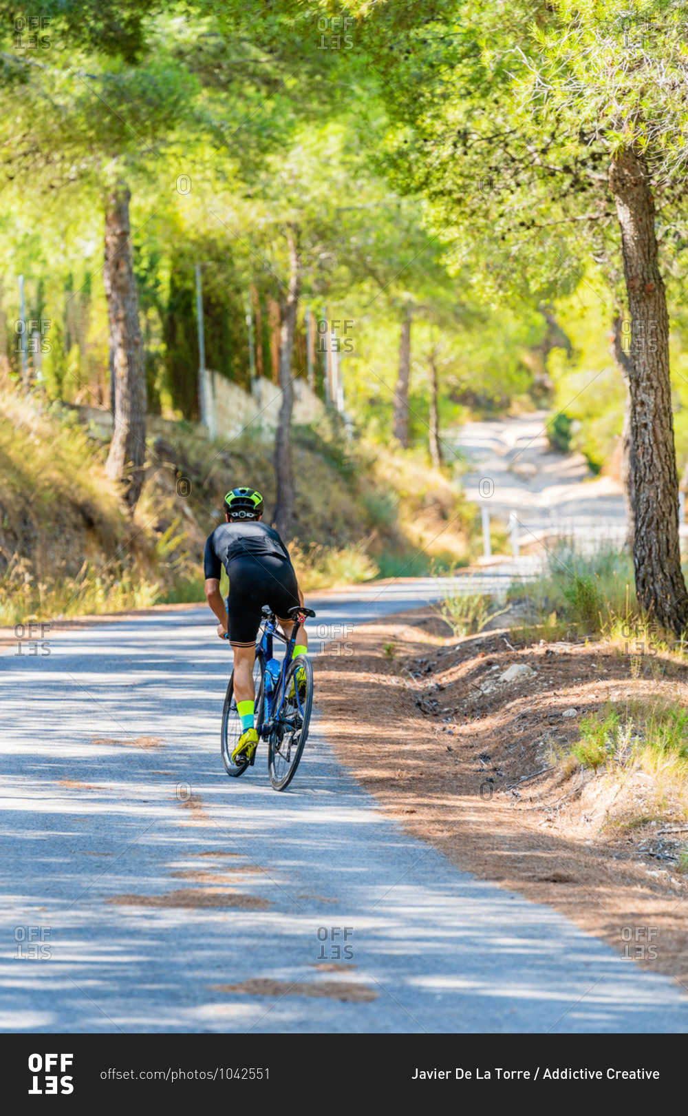 Full body back view of fit male cyclist in sportswear and helmet riding bike on narrow curved road leading through green forest in summer day