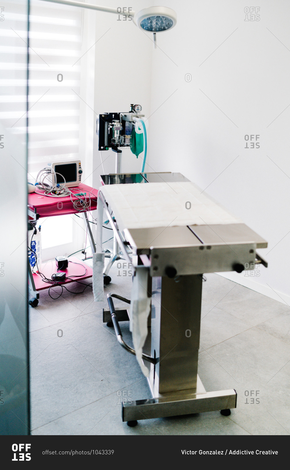 Interior of contemporary operating theater with metal table and gas anesthesia machine in veterinary hospital