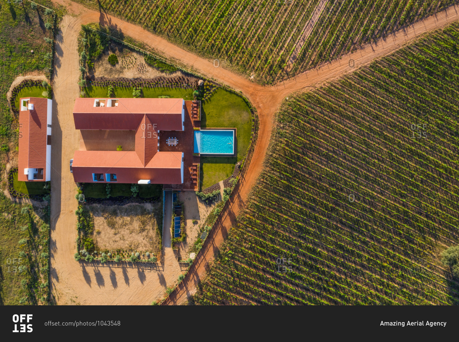 Aerial view of Vineyard estate with house and swimming pool, Albernoa, Portugal.