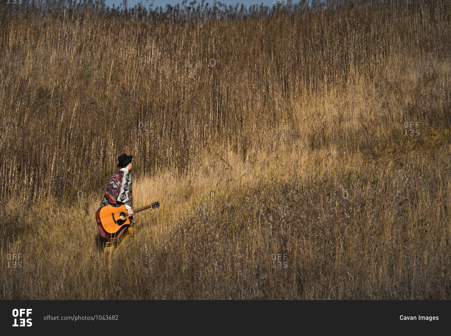 Country musician with acoustic guitar walks in grasses at a field