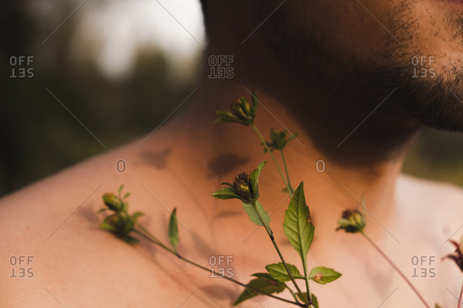 Flower buds on bare skin of a man, concept of tenderness