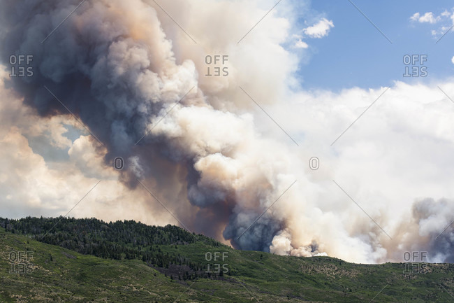 Smoke emitting from wildfire in forest