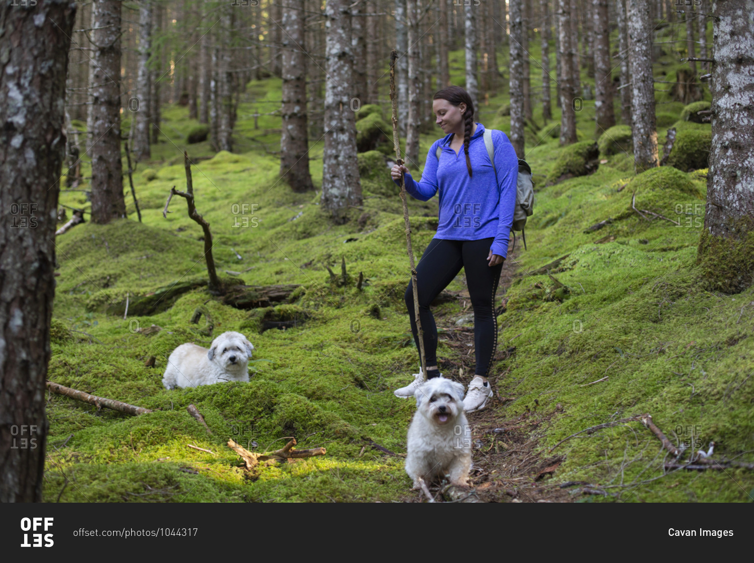 A young woman standing on a mossy wooded trail with her dogs in Norway