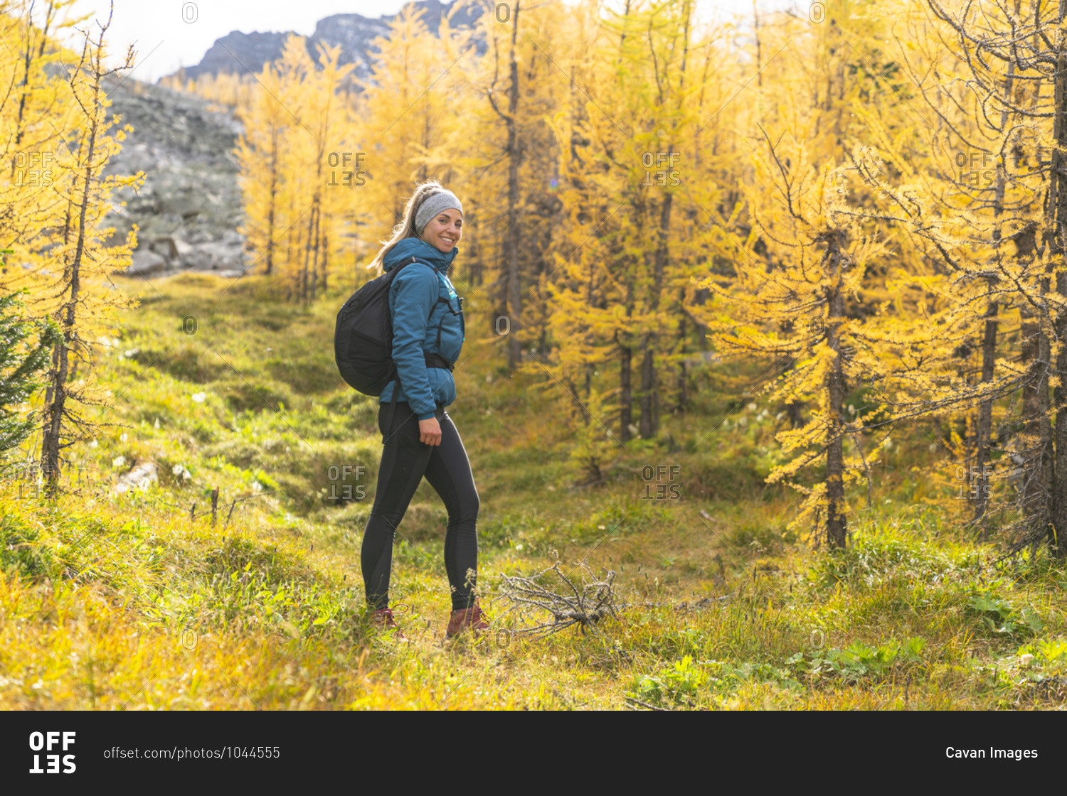 Hiker Posing in Field of Golden Larches at Paradise Valley Stock
