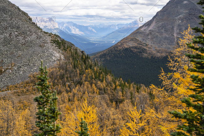 The Bow Valley Seen From Paradise Valley in Lake Louise During Autumn
