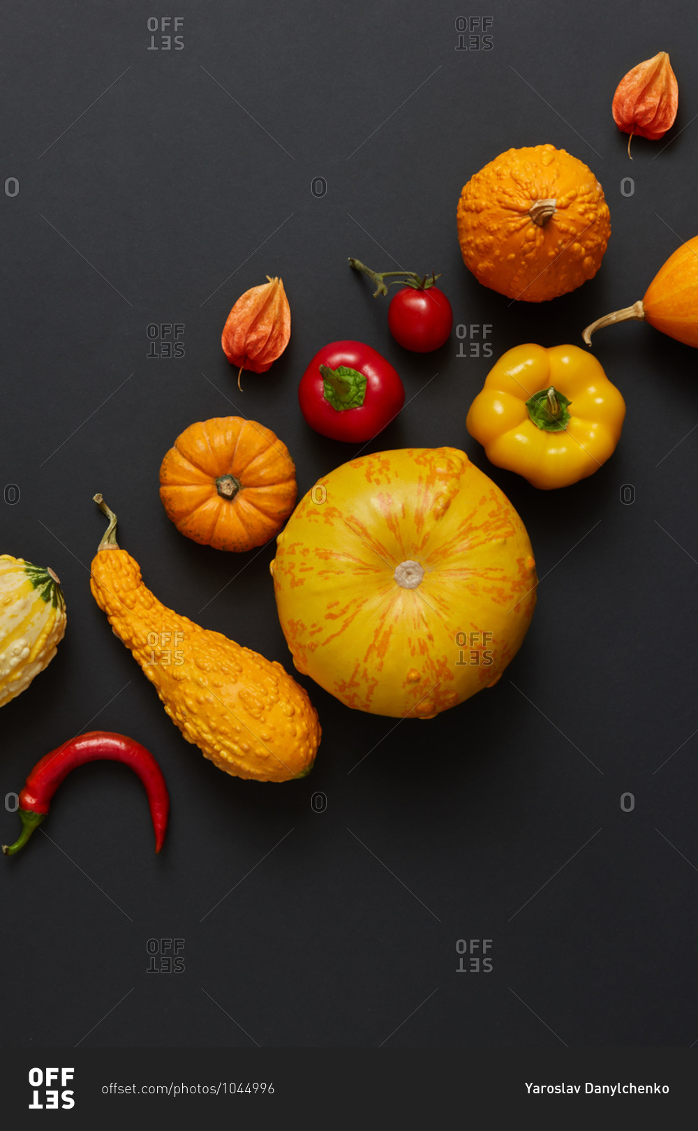 Vegan pattern from freshly picked natural organic vegetables pumpkins different shapes, red paprika and chili pepper, tomato on a black background, copy space. Vegan healthy food concept. Top view.