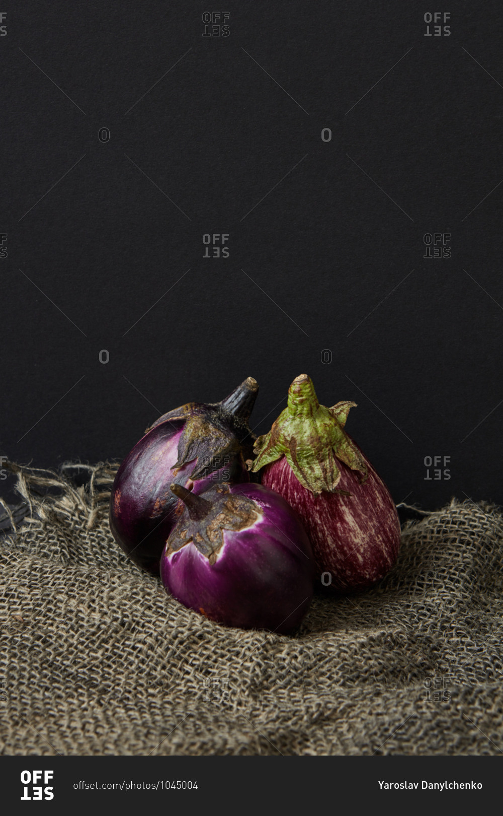 Vegan harvest from freshly picked natural organic vegetables ripe eggplant on canvas towel against black background, copy space. Vegan healthy food concept. Top view.