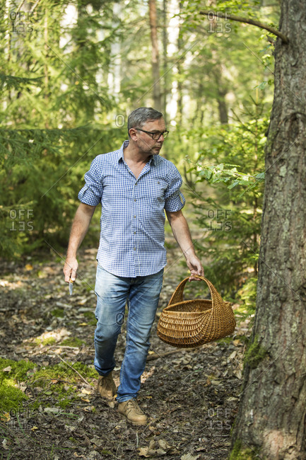 Mature man walking with basket looking for mushroom in forest