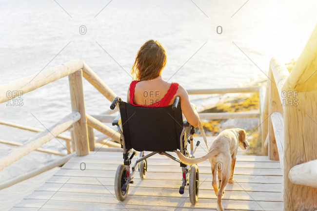 Woman in wheelchair with dog on footpath at beach