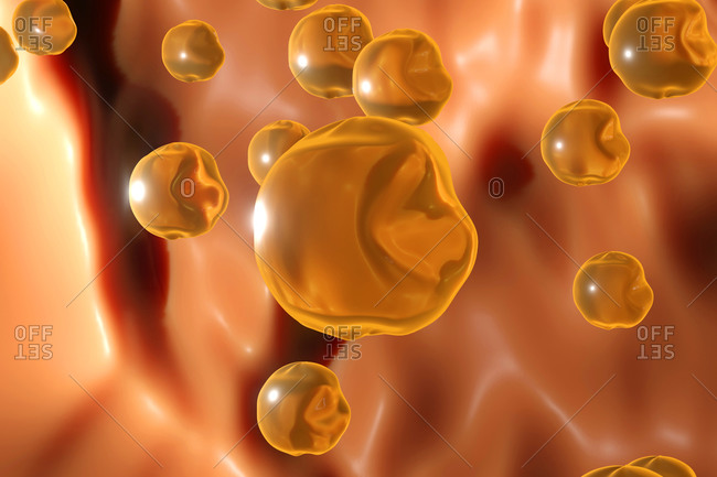 Three dimensional render of cholesterol molecules floating in human body