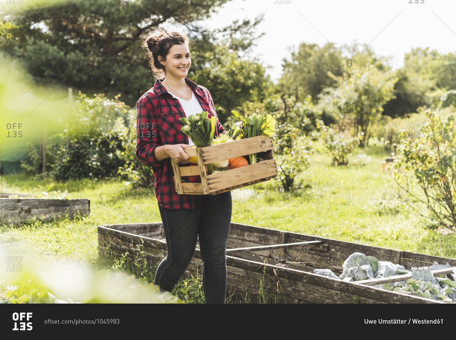 Smiling young woman carrying wooden crate with vegetables in community garden