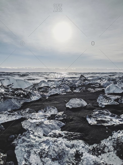 Bizarre ice formations were touched on the black sand beach of diamond beach, iceland