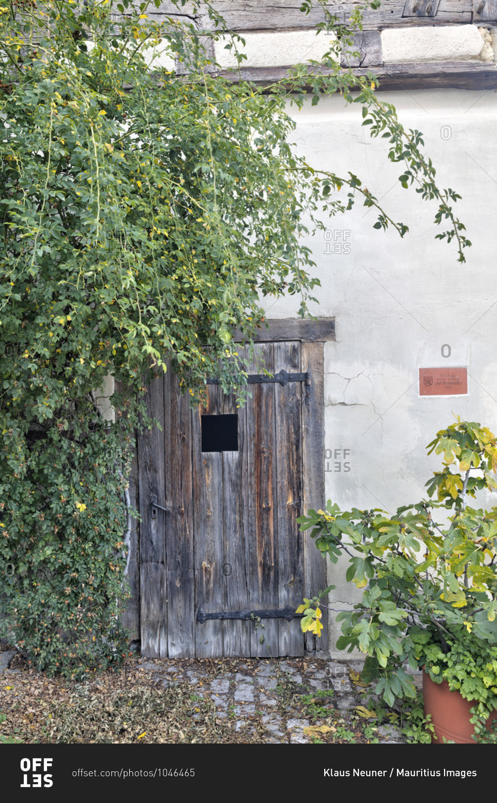 House facade, wooden door, entrance, idyll, blaubeuren, alb-donau district, swabian jura, Baden-Wurttemberg, Germany