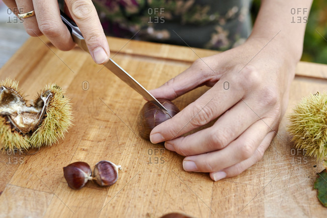 Woman cuts chestnuts with a kitchen knife to roast