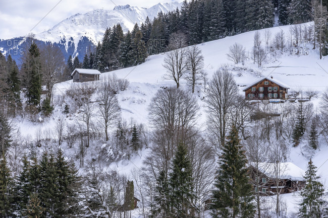 Europe, austria, vorarlberg, montafon, rätikon, gauertal, rustic houses on a snowy slope in the gauertal