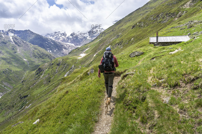 Europe, austria, tyrol, otztal alps, otztal, obergurgl, mountain hikers with a dog just before the kuppele-alm in the ascent to the ramolhaus