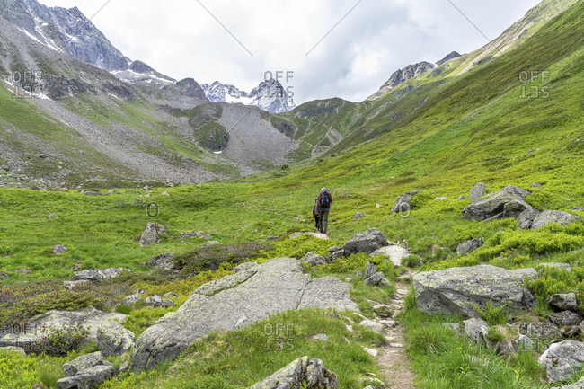 Europe, austria, tyrol, otztal alps, pitztal, plangeroß, hikers in the high valley of the plangeroß-alm with a view of the watzespitze