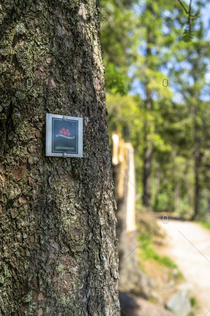 June 3, 2019: europe, germany, baden-wuerttemberg, black forest, path marking on a tree at mummelsee