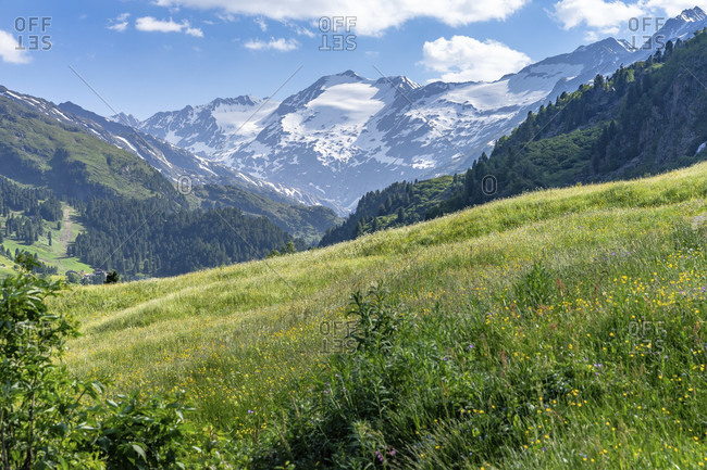 Europe, austria, tyrol, otztal alps, otztal, view over a mountain meadow to the obergurgl mountains