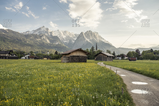 Path leads through a spring meadow with a view of the zugspitze massif