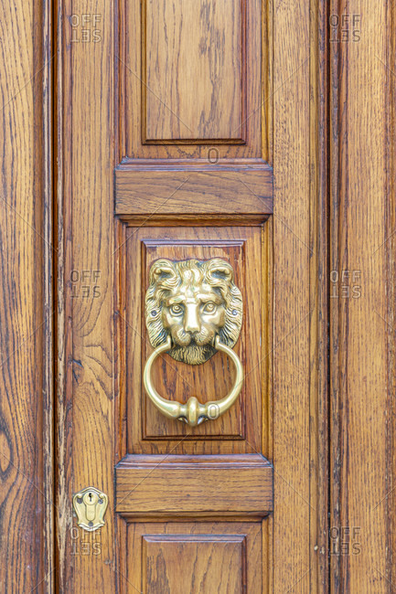 Door knocker, venice, italy. detailed shot.