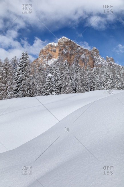 Winter landscape at the foot of the tofana di rozes, Cortina d'Ampezzo, Belluno, Veneto, Italy