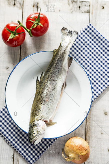 Trout fresh from the market on a maritime plate with two red tomatoes and an onion, on a checked cloth