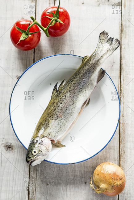 Trout fresh from the market on a maritime plate with two red tomatoes and an onion on a white wooden background