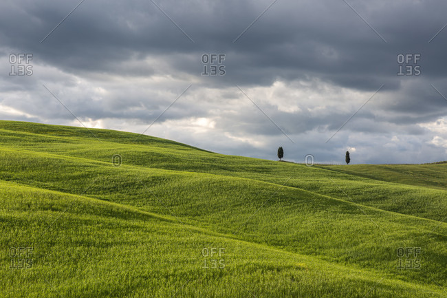 The landscape of the Val d'Orcia, Orcia Valley, Tuscany, Italy