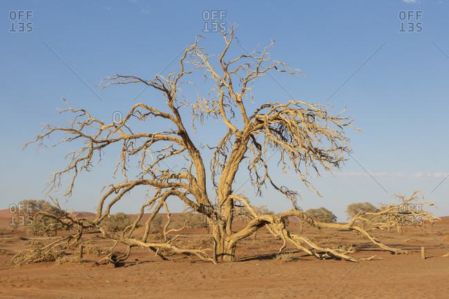 Sossusvlei, sand dunes, Namib desert