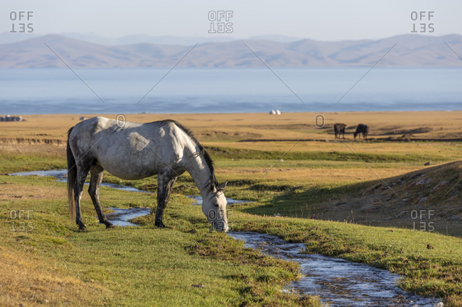 Nomads, Song Kol Lake, Song Kol National Park, Kyrgyzstan