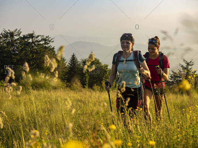 June 27, 2019: Hiking on the Zwealersteig, narrow hiking trail at the summit of the Kandel, view towards the west