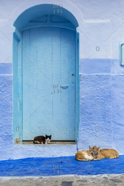 Chefchaouen, Chaouen or Xauen is the blue city in Morocco