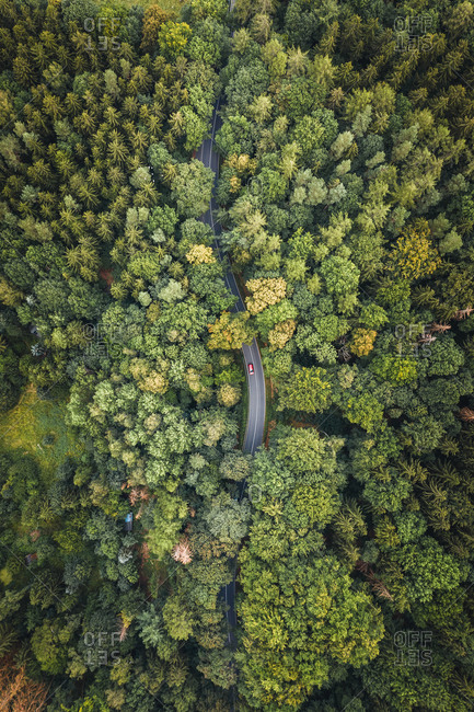 Aerial view of a group of dead trees in the middle of the forest in National Schweiz, Germany.