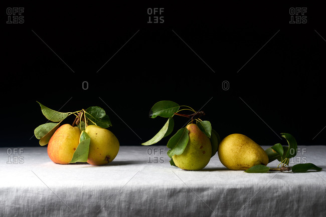 Fresh raw organic pears with leaves picked from the garden on white linen tablecloth