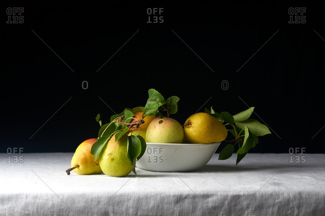 Fresh raw organic pears with leaves picked from the garden on white linen tablecloth