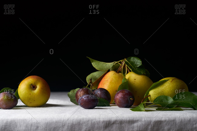 Still life with fresh organic fruits from the garden: plums, pears and apples on white textile background