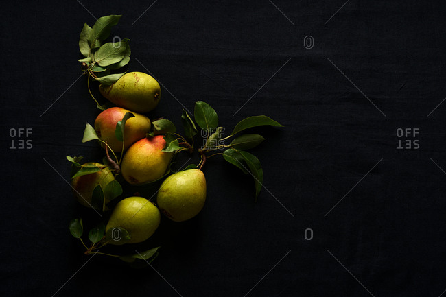 Overhead composition on dark background with ripe organic pears