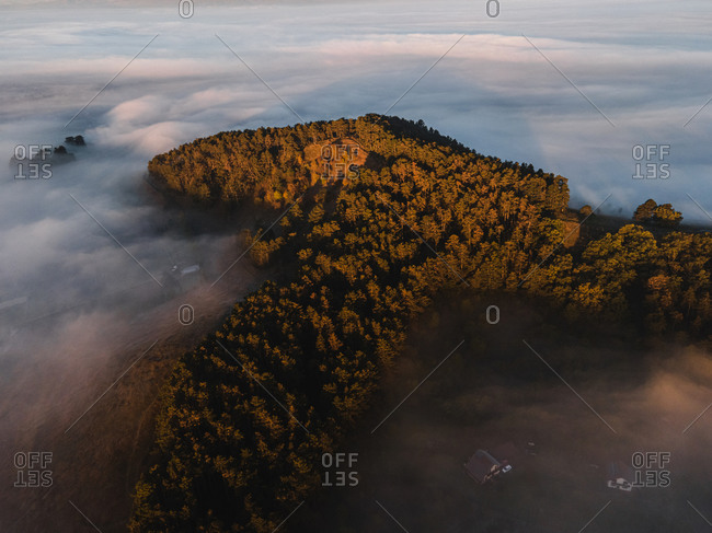 Sunrise and dense fog surrounding mountain with lush forest