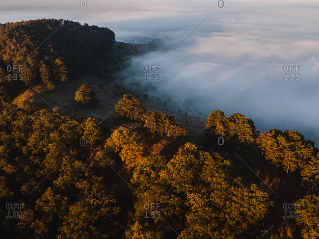 Aerial view over dense fog at sunrise surrounding mountaintops with lush forest