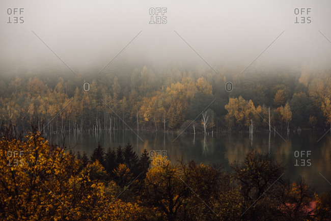 Dense fog over lakeside forest in autumn