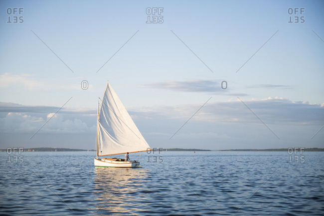 Single one catboat sailboat sailing during golden hour summer sunset