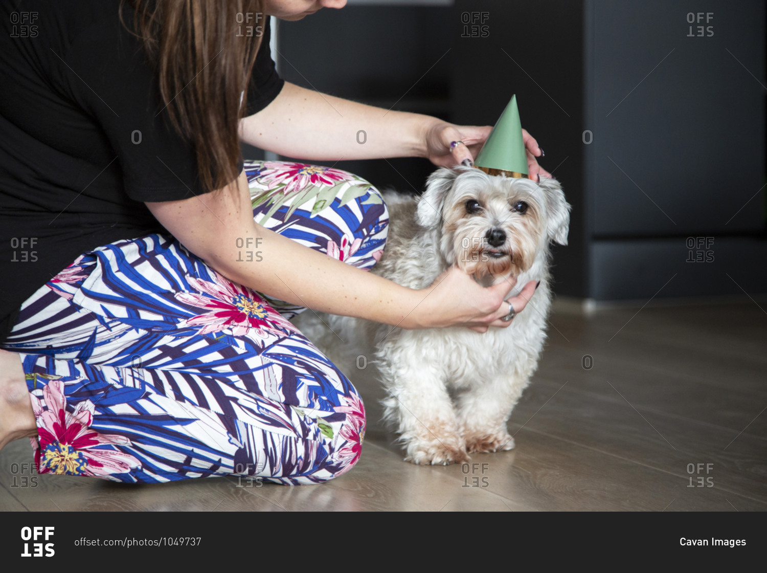 A dog mom adjusts her birthday boys hat