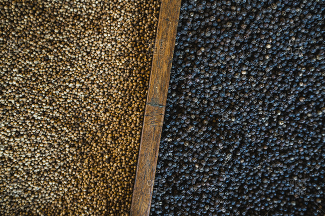 Fresh coriander seeds and black peppercorns at a local spice shop in the old town in Bangkok, Thailand